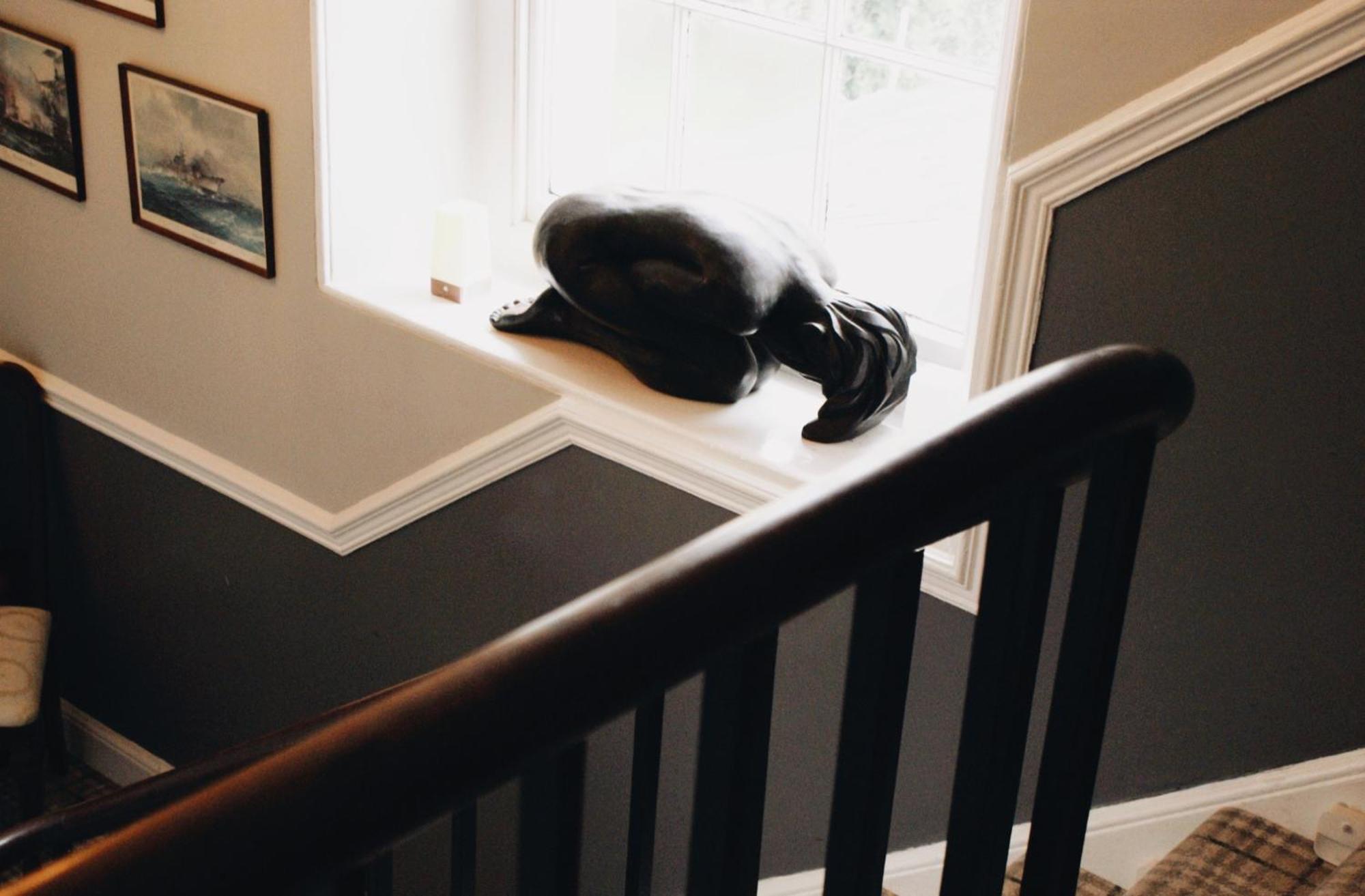 Ranscombe House Bed & Breakfast Brixham Bagian luar foto