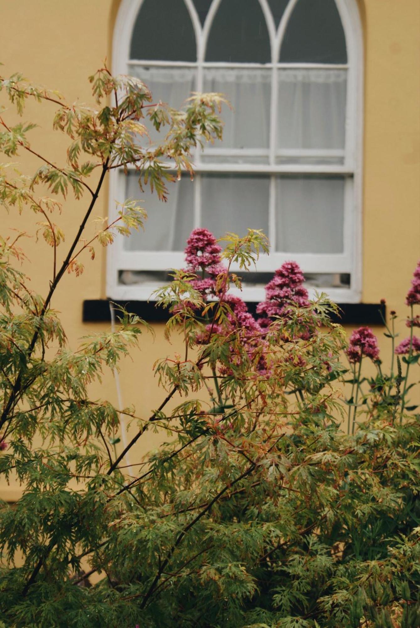 Ranscombe House Bed & Breakfast Brixham Bagian luar foto